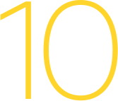 Опыт работы более 10 лет